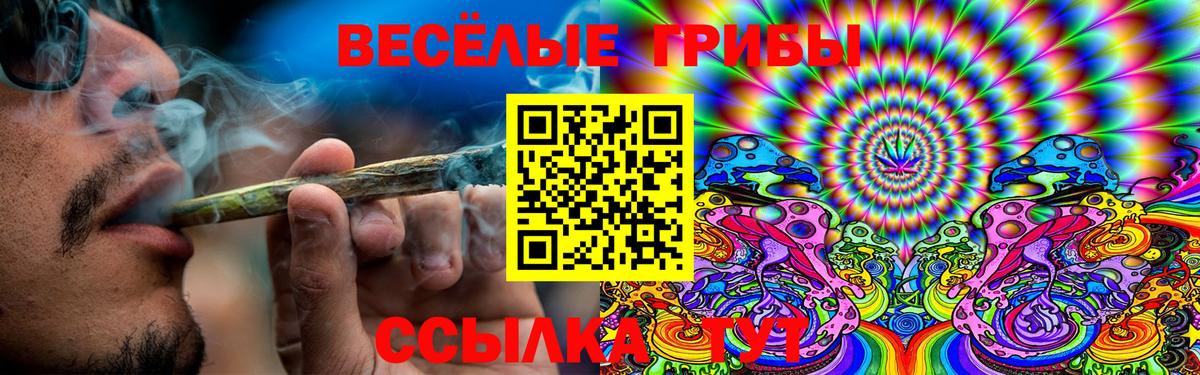 Галлюциногенные грибы Psilocybine cubensis Ногинск