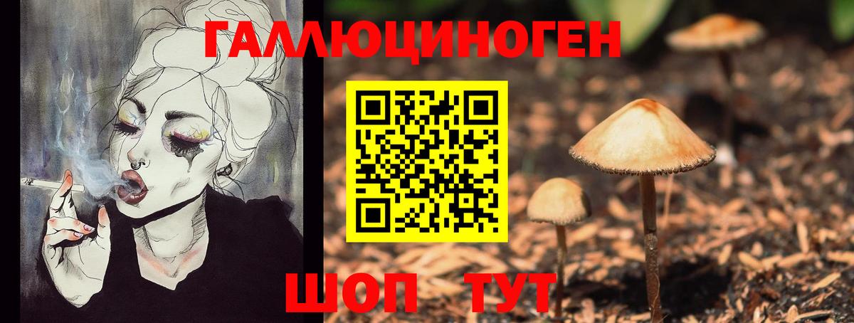 Галлюциногенные грибы Magic Shrooms  Вход с VPN  Ногинск 